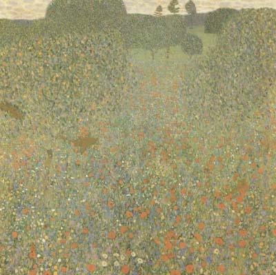 Gustav Klimt Poppy Field (mk20) Germany oil painting art